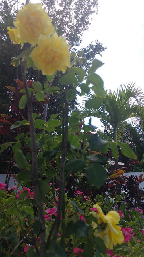 Sun Suites Cozumel Zewnętrze zdjęcie